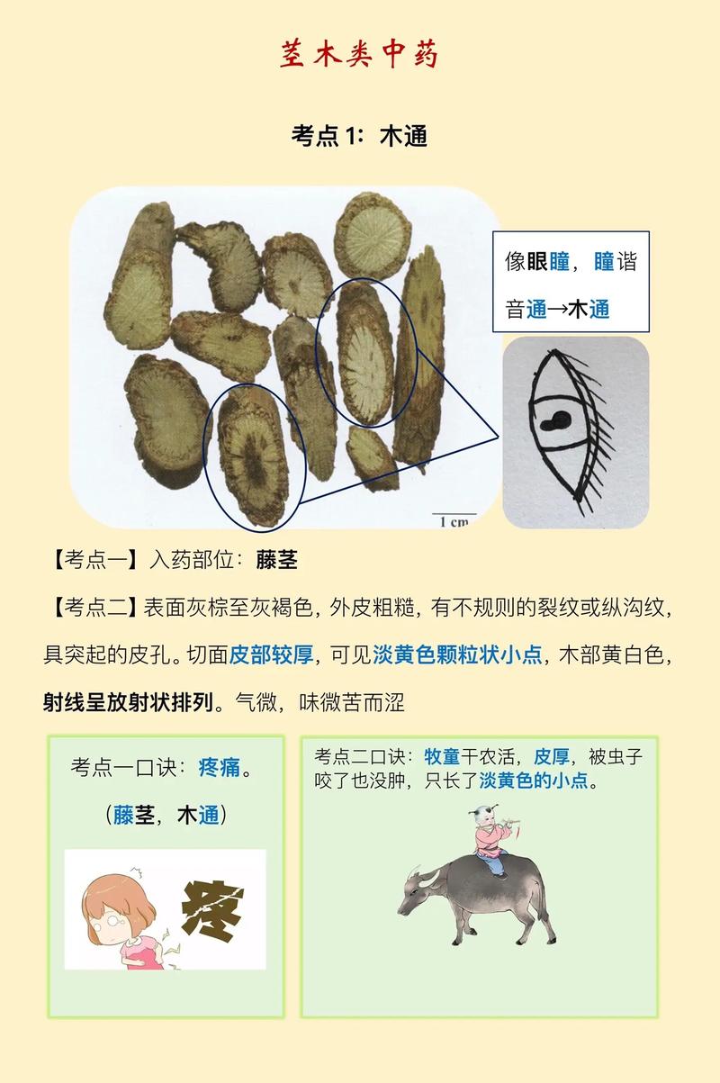 梵源印度代购希爱力是真的吗？避坑指南与正品鉴别全攻略